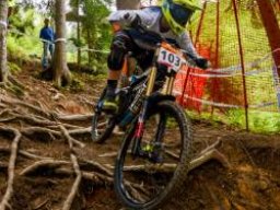 2e1ax_greenie_module_cappellari_sieg_1slowenien_s